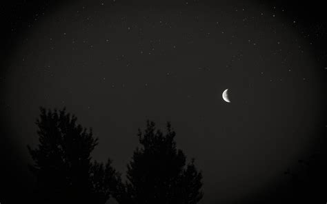 Night Sky Black And White