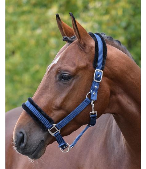 Headcollar Fabi - Headcollars - Kramer Equestrian