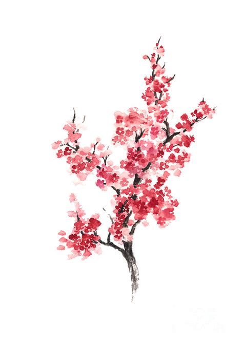 Cherry Blossom Japanese Flowers Poster Painting by Joanna Szmerdt