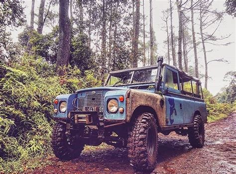 an old blue truck is parked on the side of a dirt road in the woods