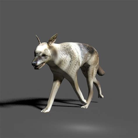 Animated Wolf Wolf 3D Models Blender - .blend download - Free3D