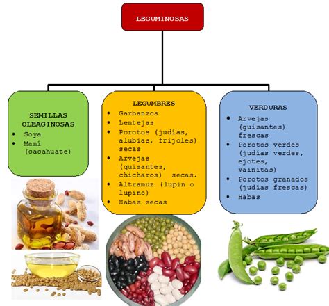 clasificacion de las leguminosas Frijoles, Crohns, Diabetes, Info, Cole ...