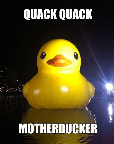 Giant Rubber Duck Meme