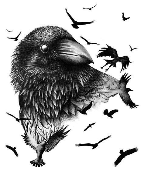 bird Art Drawing Illustration - Karina Shown