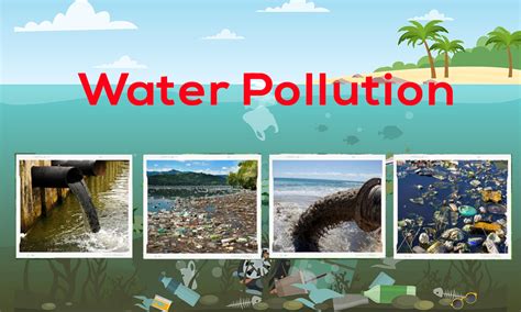 What is Water Pollution: Concern, Causes & Effects- Netsol Water