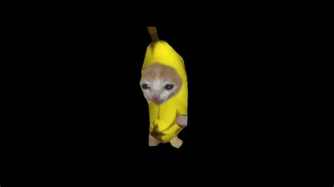 Banana Cat Gif - IceGif