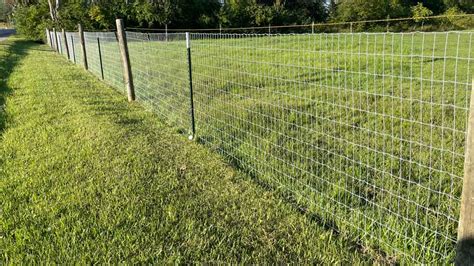 6 Types of Wire Fences - From Farm to Security