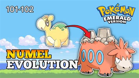 Evolution Numel Evolution