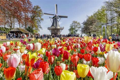 Keukenhof: Holland’s Tulip Garden | Garden Destinations Magazine