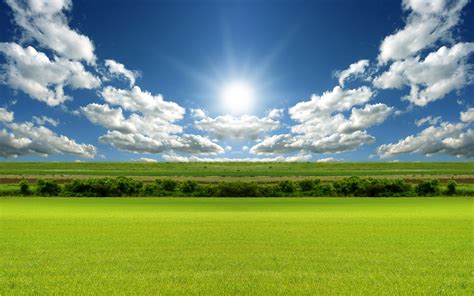 Landscape photography of green grass field under white clouds and blue sky during daytime HD ...