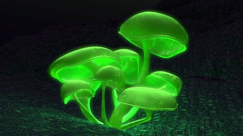 🔥 [40+] Neon Mushroom Wallpapers | WallpaperSafari