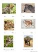 Maori Animal name worksheet by Montessorikiwi | Teachers Pay Teachers