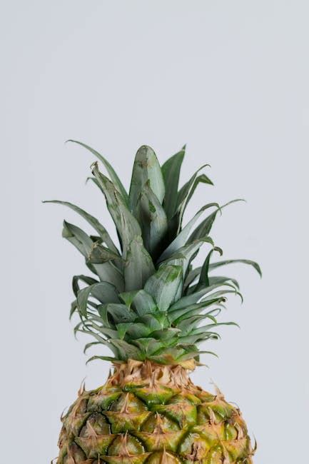 Close Up Photography of Pineapple Crown · Free Stock Photo