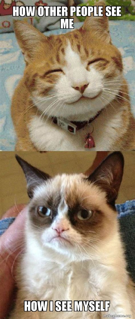 How other people see me How I see myself - Grumpy Cat vs Happy Cat Meme Generator