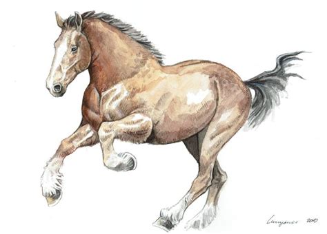 Galloping Horse Sketch