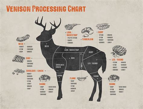 Meat Diagram Of A Deer Deer Meat Cuts Butchering Diagram But