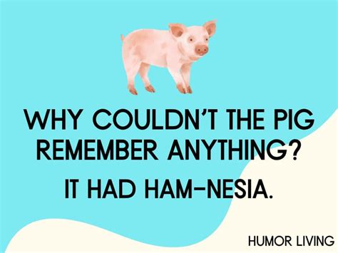 80+ Hilarious Pig Jokes to Make You Oink With Laughter - Humor Living