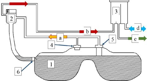 Connection schematic of the carbon canister to the combined fuel tank ...