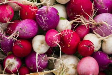 Growing Radishes » All The Tips to Grow Like a Pro