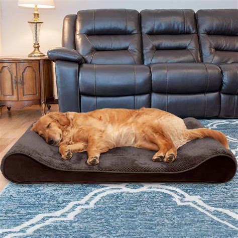 2024's Best Orthopedic Dog Beds - A Comfortable Rest For Older Dogs