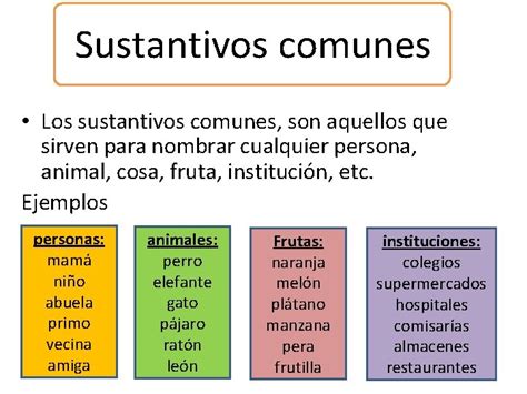 Sustantivos Comunes De Lugares Ejemplos - Uno