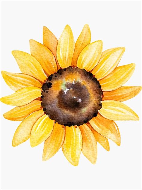 Watercolor sunflower Painting Art & Collectibles trustalchemy.com