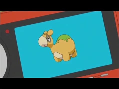 Numel Pokémon: How to catch, Stats, Moves, Strength, Weakness, Trivia, FAQs