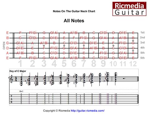 Notes on the guitar neck chart - Ricmedia Guitar