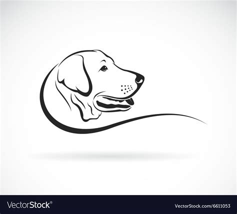 Dog labrador Royalty Free Vector Image - VectorStock