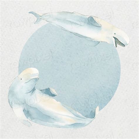 Watercolor painted beluga whale watercolor | Premium Vector - rawpixel