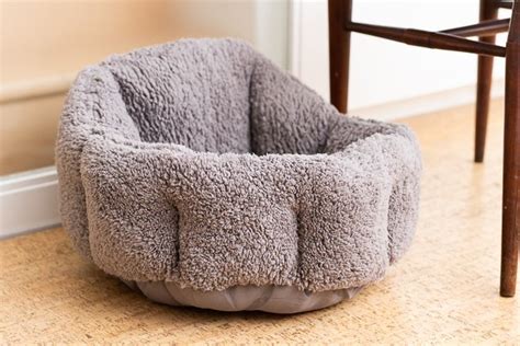 The Best Cat Beds (According to Our Cats) | Reviews by Wirecutter