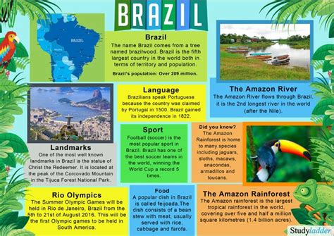 Brazil: Fact Sheet - Interactive Learning Activity