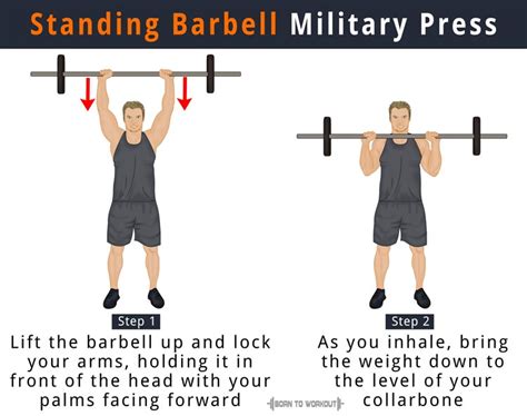 Barbell Military Press: What is it, How to do, Muscles Worked