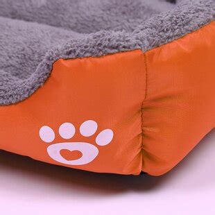 Wayfair | Medium Dog Beds You'll Love in 2022