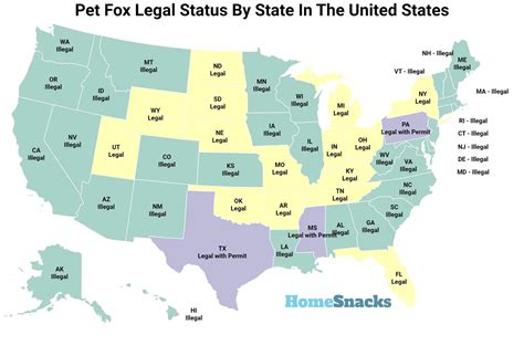 Pet Fox Legal Status By State [With Map] | HomeSnacks