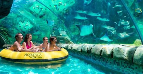 San Antonio: Aquatica Skip-the-Line Park Admission Ticket | GetYourGuide