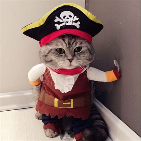 1Pc Funny Cat Costume Pirate Suit Corsair Cosplay Cat Clothes Halloween Costume Dog Puppy Suit ...