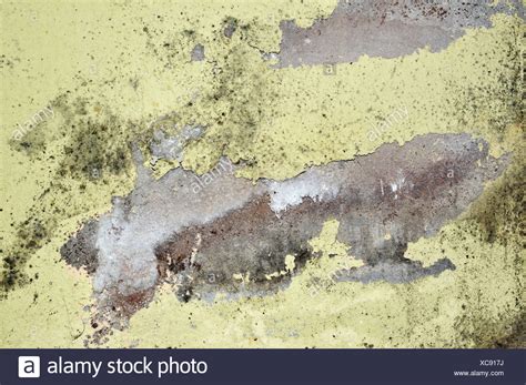 Mildew Wall Stock Photos & Mildew Wall Stock Images - Alamy