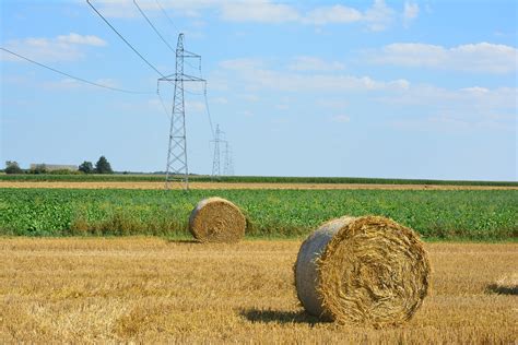 Harvest,corn,field,agriculture,straw - free image from needpix.com