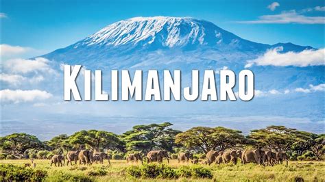 Mount Kilimanjaro Summit Challenge – Travel Medals