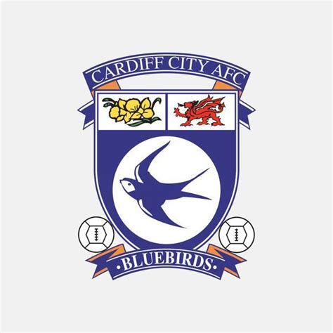 Cardiff City Badge - Close Up Of Cardiff City Fc Badge Stock Photo Alamy