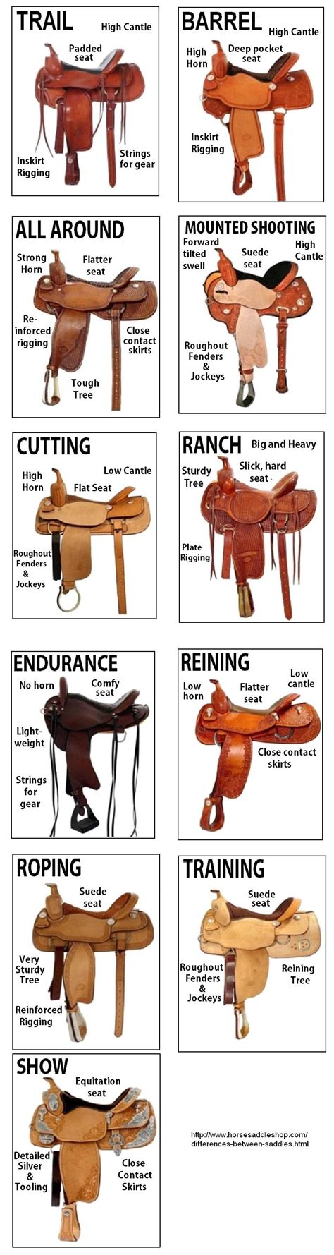 Horse Riding Tips, Horse Gear, Horse Tips, Horse Info, Cute Horses, Pretty Horses, Beautiful ...