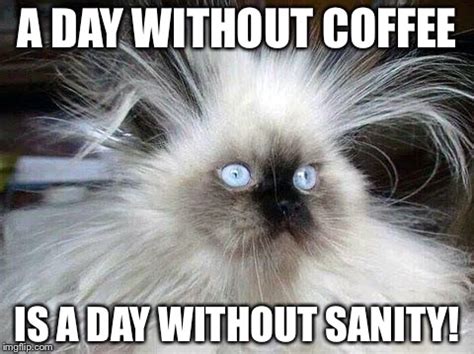 coffee addict Memes & GIFs - Imgflip