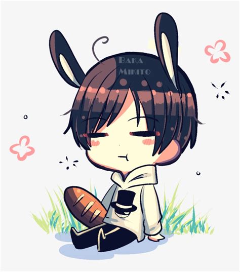 Rabbit Anime Boy