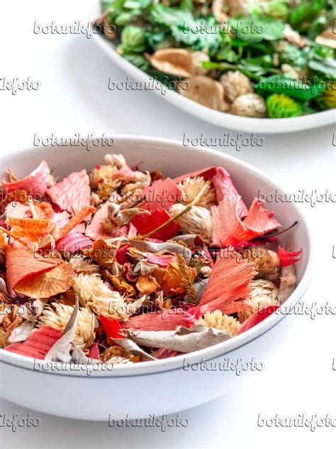 Image Potpourri of dried leaves and blossoms - 433003 - Images of ...