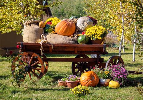 5 Unique Harvest Festivals to Check Out This Fall | Going Places