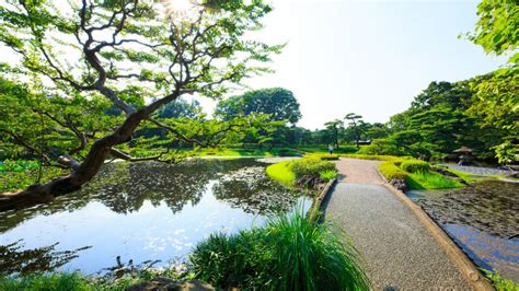 9 best parks and grand green spaces to enjoy in Tokyo