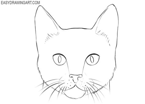 How to Draw a Cat Face - Easy Drawing Art