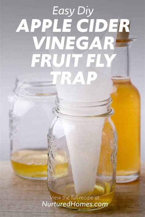 DIY Apple Cider Vinegar Fruit Fly Trap (This Really Works!) - Nurtured Homes