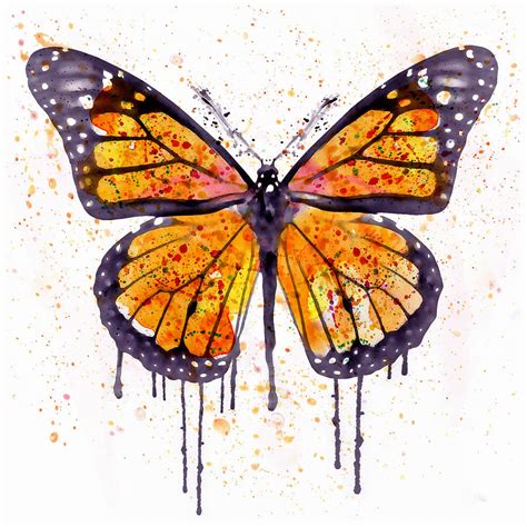 Monarch Butterfly Watercolor Mixed Media by Marian Voicu